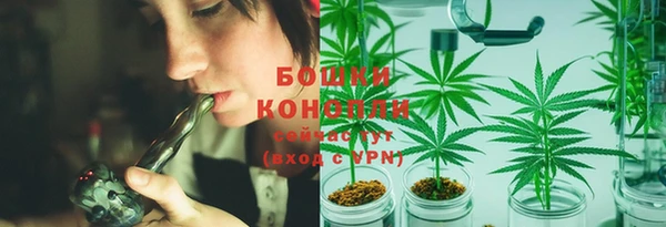 дживик Верхний Тагил
