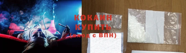 дживик Верхний Тагил