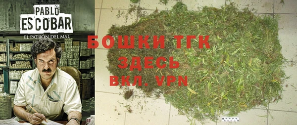 дживик Верхний Тагил