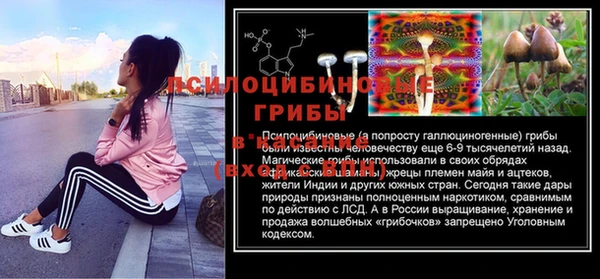 ешки Володарск