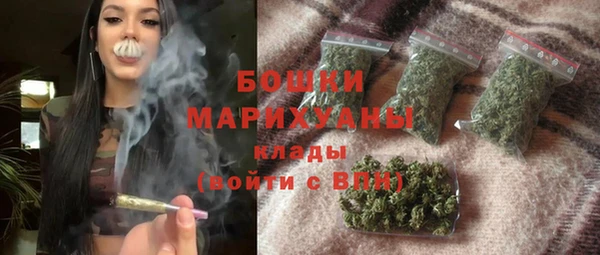 дживик Верхний Тагил