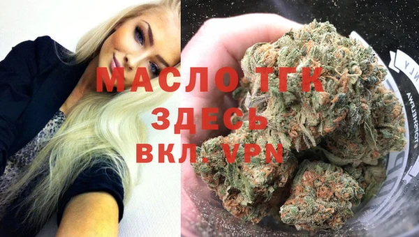 дживик Верхний Тагил
