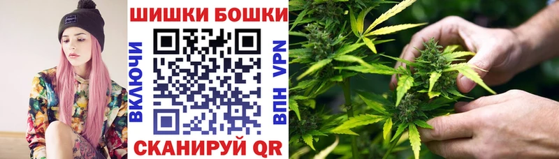 Марихуана сатива Лодейное Поле